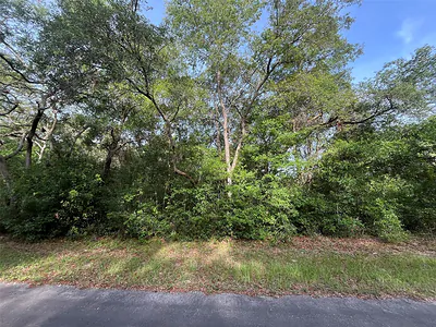 6634 N PAGODA TREE TERRACE Hernando FL