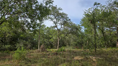 4811 N REDWOOD AVENUE Hernando FL