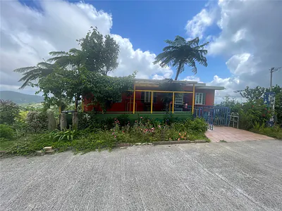 1 LOS PINOS Cayey PR