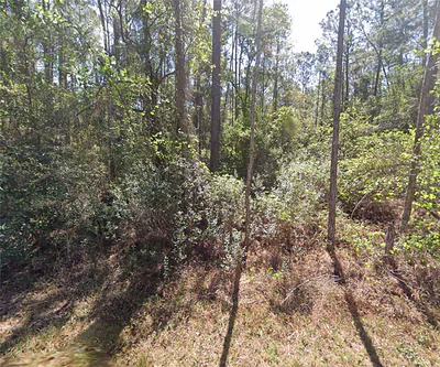217 SE 2ND STREET Georgetown FL