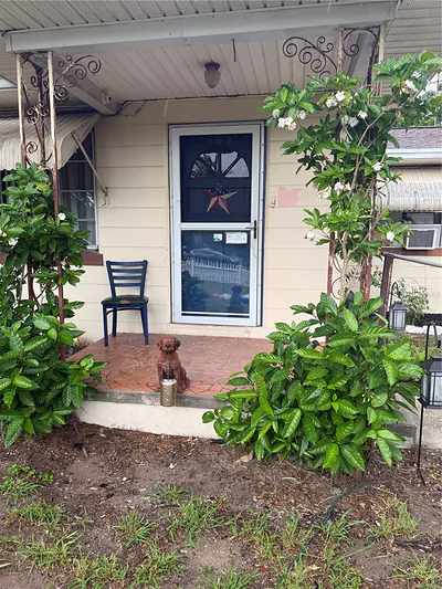 485 N BUENA VISTA DRIVE Lake Alfred FL
