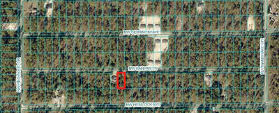 TBD NW BANYAN LN, LOT 14 Dunnellon FL