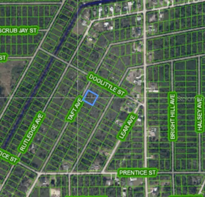 1453 TAFT AVENUE Lake Placid FL