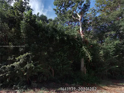 00 Poinsetta Other FL