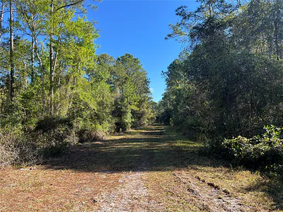 208 SE 3RD STREET Georgetown FL