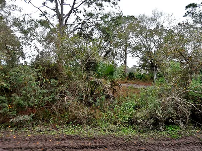 HENRIETTA AVENUE North Port FL