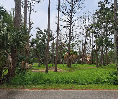 401 W 1ST STREET NW Lot #4 #Lot #4 Steinhatchee FL