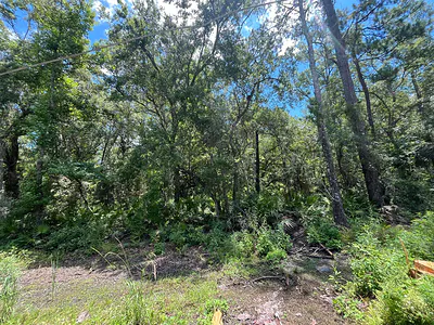Tbd Franklin Drive, Crawfordville, FL 32327 Crawfordville FL