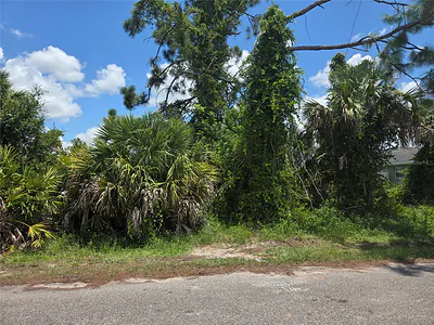 SELOVER ROAD North Port FL