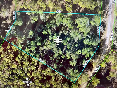 SOFTSTONE DRIVE Webster FL