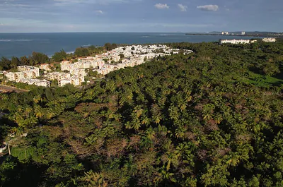 PR-968 KM 2.2 SECTOR LAS PICUAS Rio Grande PR
