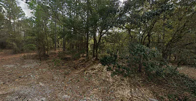 228 14TH STREET Interlachen FL