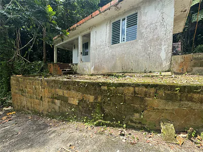 Carr 123 KM 64.5 BO CANIACO Utuado PR