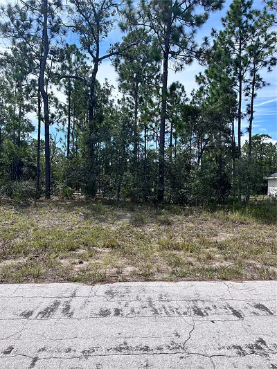 2910 W RUTLAND DRIVE Citrus Springs FL