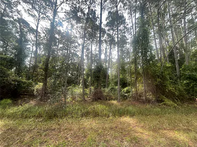 223 SE 2ND STREET Georgetown FL
