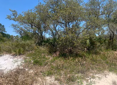 2924 W Quincy Road, Avon Park, FL 33825 Avon Park FL