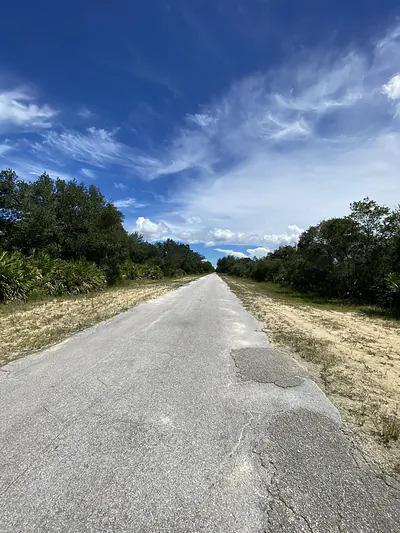 509 Pandora Drive, Lake Wales, FL 33855 Lake Wales FL