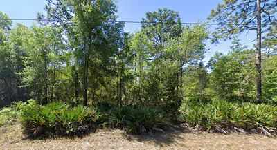 7350 W VILLAGE DRIVE Homosassa FL