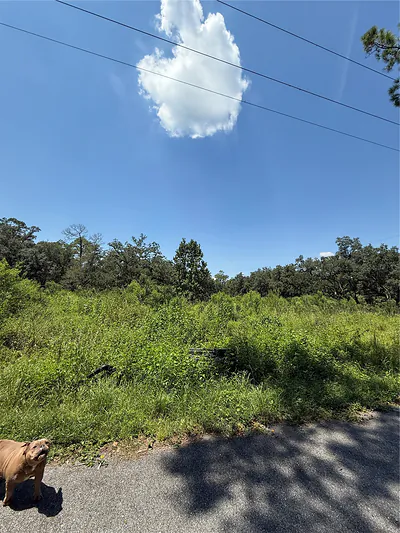 1356 MONTZEN ROAD Davenport FL