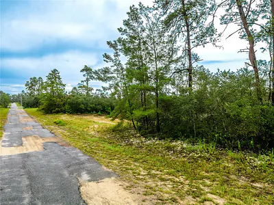 8109 N WAYSIDE AVENUE Dunnellon FL