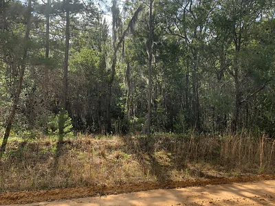 0 Shappell Avenue, Interlachen, FL 32148 Interlachen FL