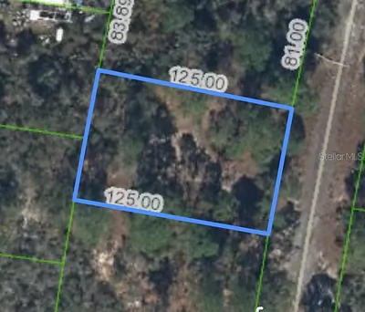 320 BLUE HEAVEN DRIVE Lake Placid FL