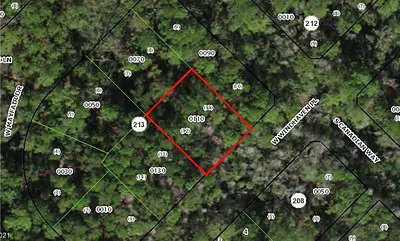 8275 W WINDHAVEN PLACE Homosassa FL