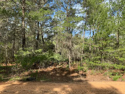 0 Louise Avenue, Interlachen, FL 32148 Interlachen FL