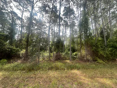 223 SE 2nd Street, Georgetown, FL 32139 Georgetown FL