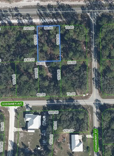 3226 LAKE JUNE BOULEVARD Lake Placid FL