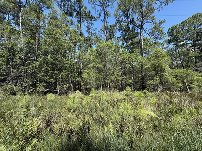 210 SE 2nd Street, Georgetown, FL 32139 Georgetown FL