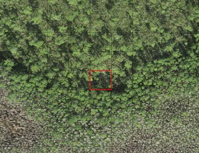 0 Holopaw Groves Road, St. Cloud, FL 34772 St Cloud FL