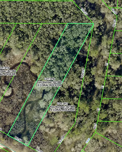 34063 CORAL ROCK DRIVE Webster FL
