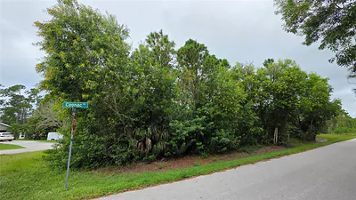 12339 COGNAC DRIVE Punta Gorda FL