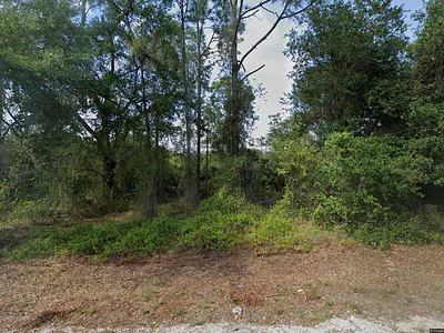 1015 PILGRIM STREET E Lehigh Acres FL