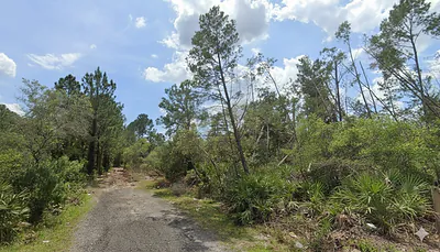 ASTER TERRACE Deland FL