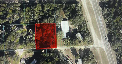 TBD NE 188TH PL Fort Mc Coy FL
