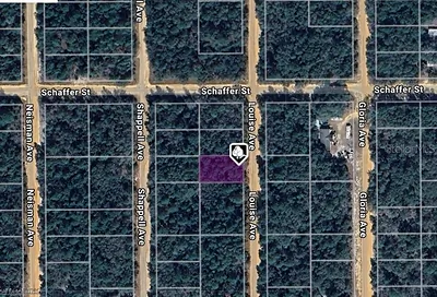 LOT 22 LOUISE AVENUE Interlachen FL