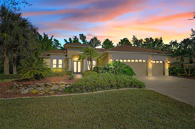 11420 SAVANNAH LAKES DRIVE Parrish FL