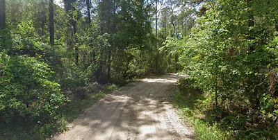 135 BUCKLES DRIVE Palatka FL