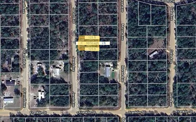 0 JANET AVENUE Interlachen FL