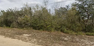 JANET AVENUE Interlachen FL