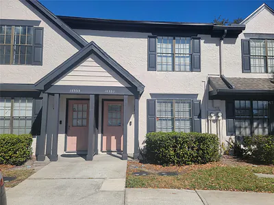 16553 BRIGADOON DRIVE Tampa FL