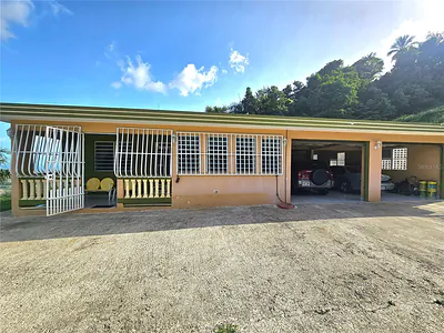 971 971 Naguabo PR