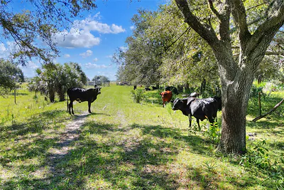 46891 FARABEE ROAD Punta Gorda FL