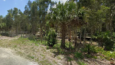 1015 Legion Avenue, Lehigh Acres, FL 33974 Lehigh Acres FL