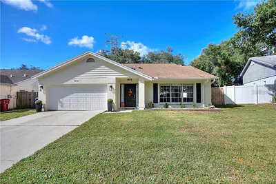 3662 CHATHAM DRIVE Palm Harbor FL