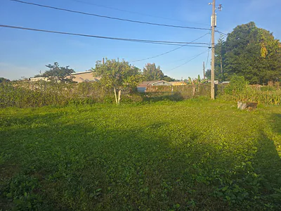 695 W CARROLL STREET Kissimmee FL