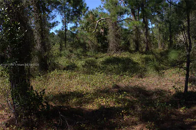 1917 Moore Other FL