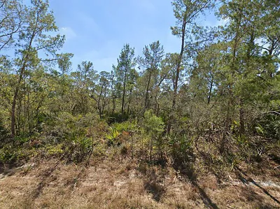 3234 FLATBUSH AVENUE Lake Placid FL